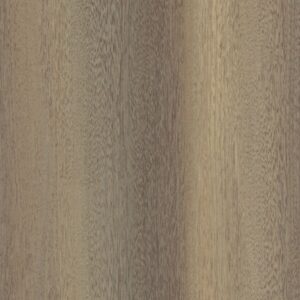 sf-501