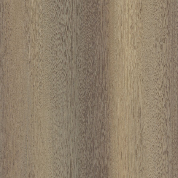 sf-501